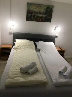 Vila Zorica Ribarska Banja