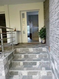 Vila Ušće