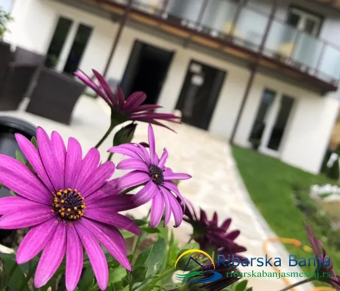 Apartani Zeleni dvor