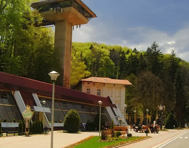 Specijalna bolnica Ribasrka Banja
